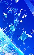 まころん版画展